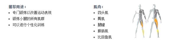 廣州91大香蕉在线播放健身器材