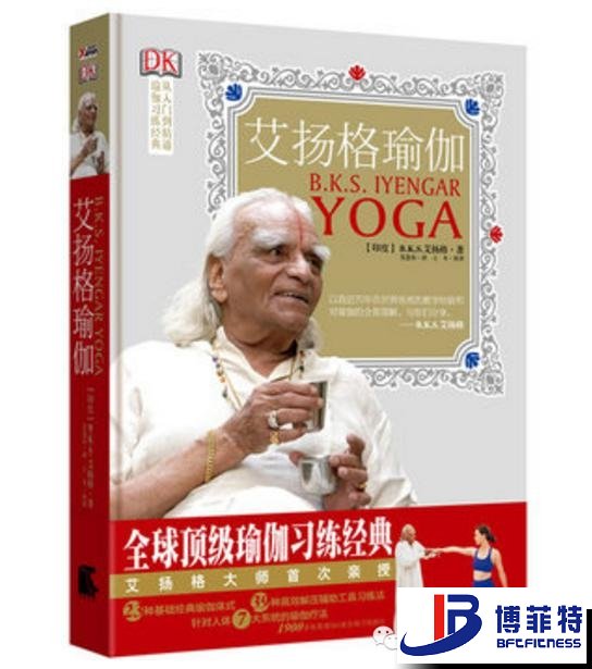 艾揚格瑜伽：精準習練指南