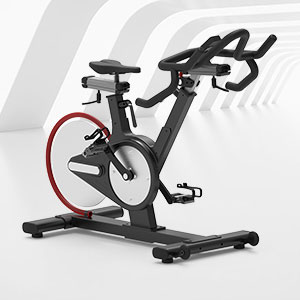 BSE-106專業健身房動感單車